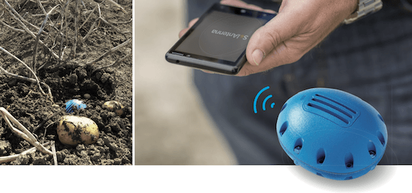 Elektronische aardappel met app en in het veld