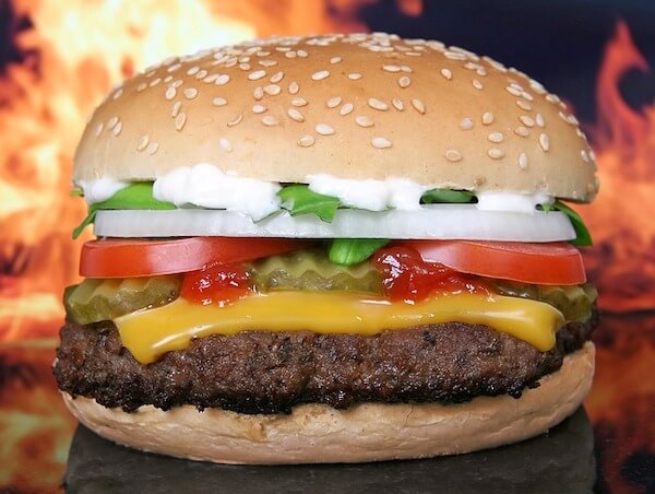 Hamburger van de grill